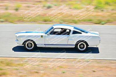 media/Apr-27-2024-LA Shelby Club (Sat) [[ca61902bd2]]/Green Group/Session 2 (Turns 4 5 and 6)/
